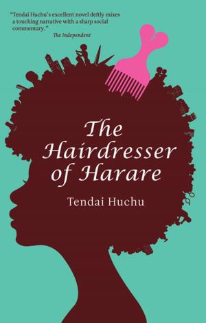 bigCover of the book The Hairdresser of Harare by 