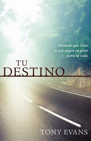 Cover of the book Tu destino by Steven Andrew