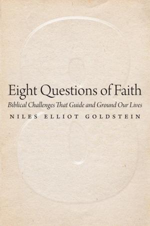 Cover of the book Eight Questions of Faith by Rabbi Jeffrey K. Salkin
