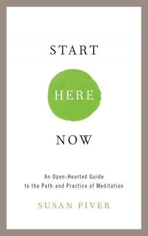 Cover of the book Start Here Now by Anam Thubten