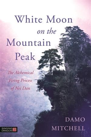 Book cover of White Moon on the Mountain Peak
