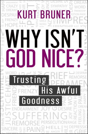 Cover of the book Why Isn't God Nice? by Ronald Clements, Steve Metcalf