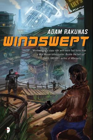 Cover of the book Windswept by Stephen Leigh