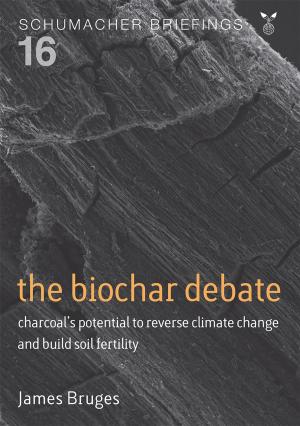 Cover of the book Biochar Debate by Will Anderson