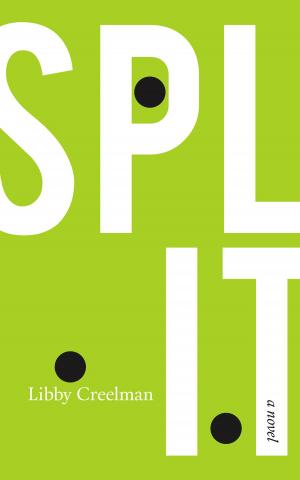Cover of the book Split by Faye Kert
