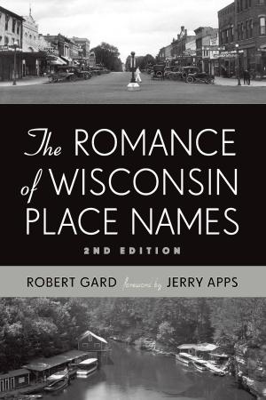 Cover of the book The Romance of Wisconsin Place Names by Susan Sanvidge, Diane Sanvidge Seckar, Jean Sanvidge Wouters, Julie Sanvidge Florence