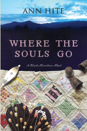 Cover of the book Where the Souls Go by Kathy A. Bradley