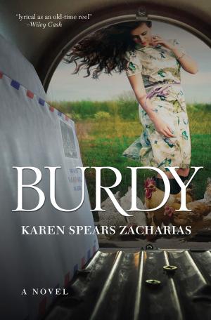 Cover of the book Burdy by Ann Nolder Heinz