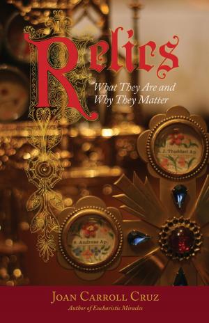 Cover of the book Relics by Robin Anderson
