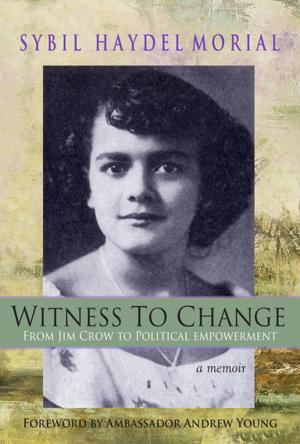 Cover of the book Witness to Change by Joseph Mills, Danielle Tarmey