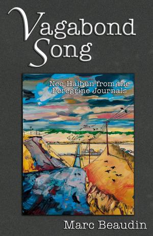 Cover of the book Vagabond Song by Nicola Davies