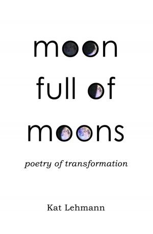 Cover of the book Moon Full of Moons by Tanya Williams
