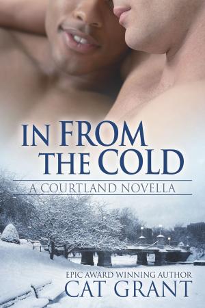 Cover of the book In From the Cold - A Courtland Novella by K. Lyn Kennedy