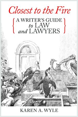 Book cover of Closest to the Fire: A Writer's Guide to Law and Lawyers