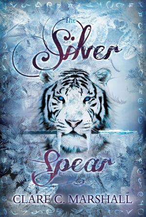 bigCover of the book The Silver Spear by 