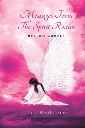 Cover of the book Messages From The Spirit Realm by Ute Kretzschmar