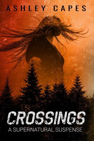 Cover of the book Crossings by Ashley Capes