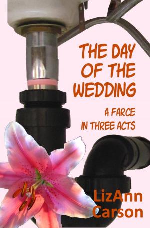 Cover of the book The Day of the Wedding by Amanda Aksel