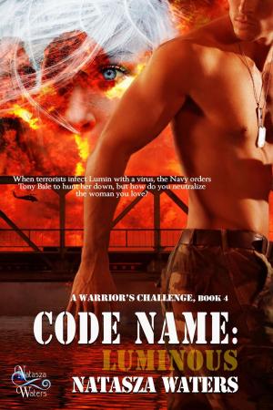 Cover of the book Code Name: Luminous by Rachel Anne Lane