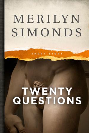 Book cover of Twenty Questions (Eight, really. It's Never as Long as You Think)