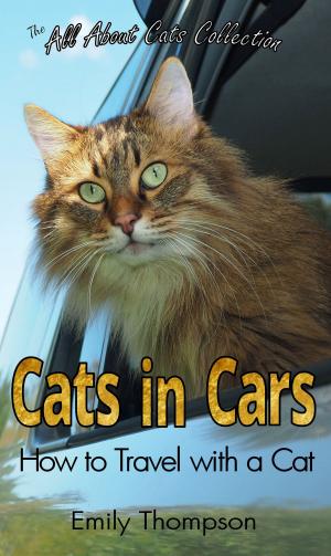 Book cover of Cats in Cars: How to Travel with a Cat