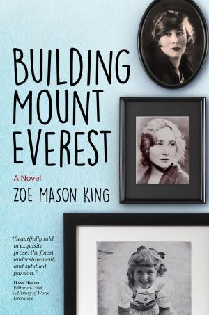 bigCover of the book Building Mount Everest by 