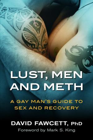 Cover of Lust, Men, and Meth