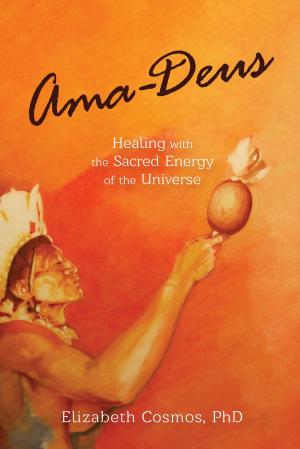 Cover of the book Ama-Deus by Andreas Michael Theodorou