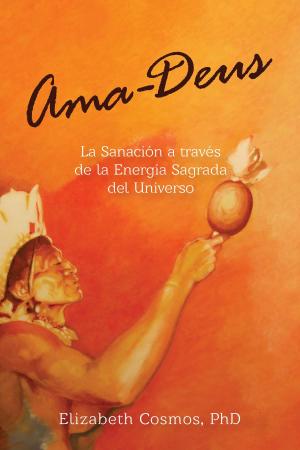 Cover of the book Ama-Deus by Dr. Richard Louis Miller