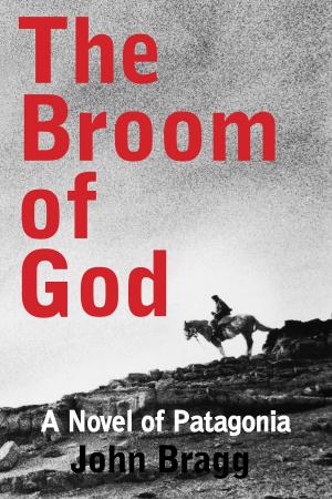 Cover of the book The Broom of God by Howard Weiner
