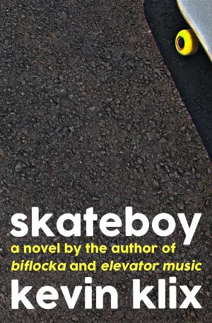 Book cover of Skateboy