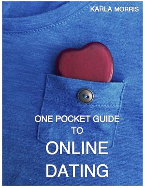 Cover of the book One Pocket Guide to Online Dating by Mary E. Pearson