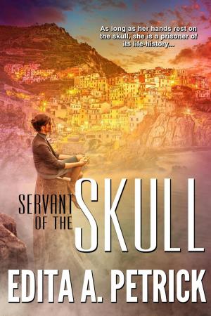 Book cover of Servant of the Skull