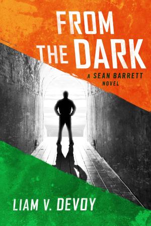 Cover of the book From the Dark by Vince Olech