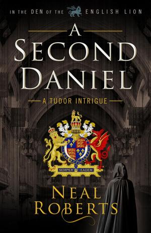 bigCover of the book A Second Daniel by 