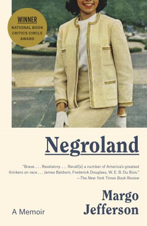 Cover of the book Negroland by Gregory Rodriguez