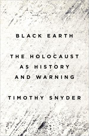 Book cover of Black Earth