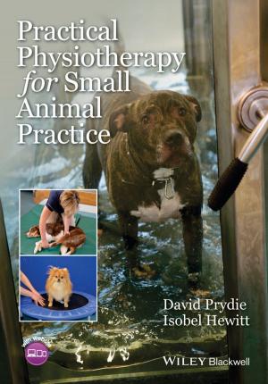 Cover of the book Practical Physiotherapy for Small Animal Practice by Peter Congdon
