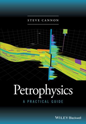 Cover of the book Petrophysics by Ari Kiev