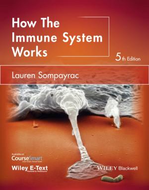 Cover of the book How the Immune System Works by Thomas Blasejewicz