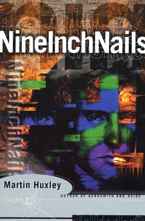 Cover of the book Nine Inch Nails by PMaya Archer