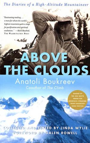 Cover of the book Above the Clouds by Steve Hamilton