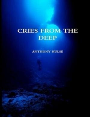 Cover of the book Cries from the Deep by Habiballa Ahmed