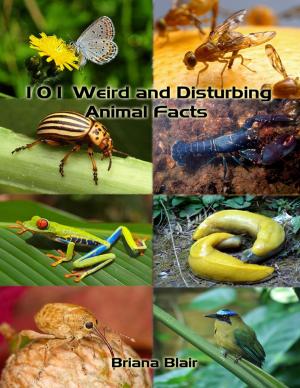 Cover of the book 101 Weird and Disturbing Animal Facts by Oluwagbemiga Olowosoyo