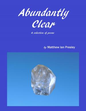 Cover of the book Abundantly Clear by Dennine Barnett