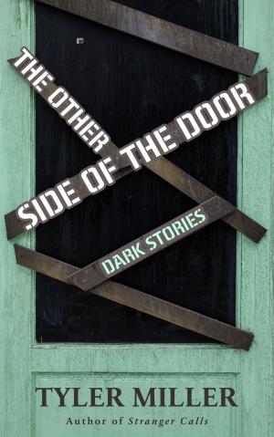 Book cover of The Other Side of the Door: Dark Stories