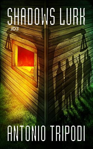 Cover of the book Shadows Lurk by T. M. Feltmate