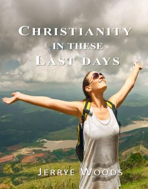 Cover of the book Christianity in these Last Days by Peter M Klismet Jr