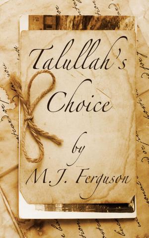 Cover of the book Talullah's Choice by Jillian Kulp