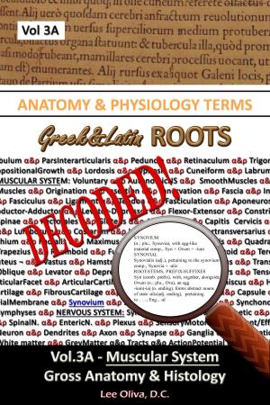 Cover of Anatomy & Physiology Terms Greek&Latin ROOTS DECODED! Vol.3AB: Muscular System: Gross Anatomy & Histology